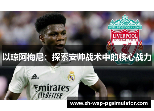 以琼阿梅尼：探索安帅战术中的核心战力