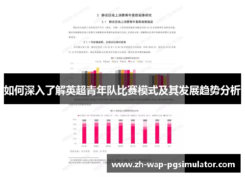 如何深入了解英超青年队比赛模式及其发展趋势分析 如何深入了解英超青年队比赛模式及其发展趋势分析