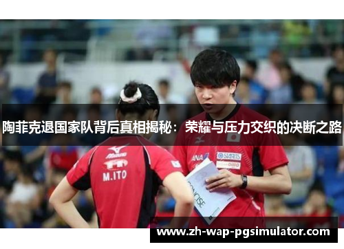 陶菲克退国家队背后真相揭秘:荣耀与压力交织的决断之路 陶菲克退国家队背后真相揭秘:荣耀与压力交织的决断之路