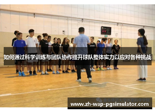 如何通过科学训练与团队协作提升球队整体实力以应对各种挑战