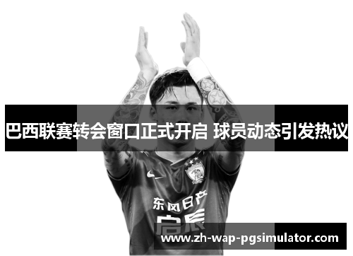 巴西联赛转会窗口正式开启 球员动态引发热议 巴西联赛转会窗口正式开启 球员动态引发热议