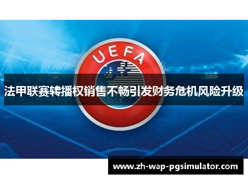 法甲联赛转播权销售不畅引发财务危机风险升级