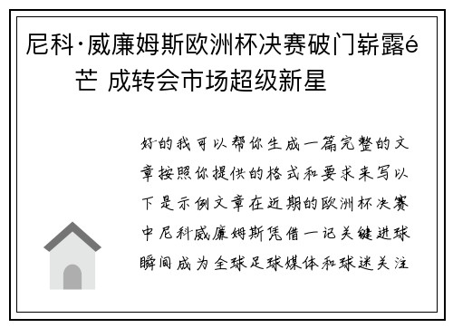 尼科·威廉姆斯欧洲杯决赛破门崭露锋芒 成转会市场超级新星 尼科·威廉姆斯欧洲杯决赛破门崭露锋芒 成转会市场超级新星