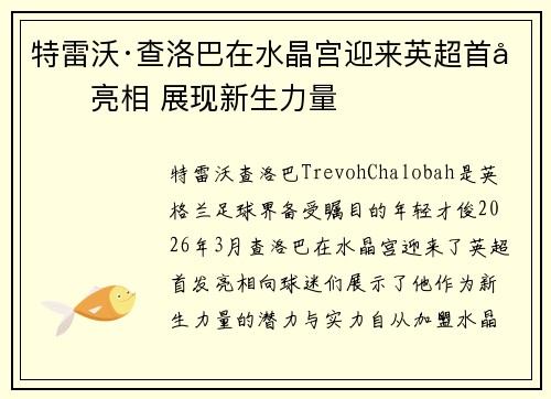 特雷沃·查洛巴在水晶宫迎来英超首发亮相 展现新生力量 特雷沃·查洛巴在水晶宫迎来英超首发亮相 展现新生力量